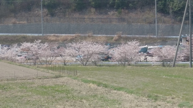 20190407_123401_HDR.jpg