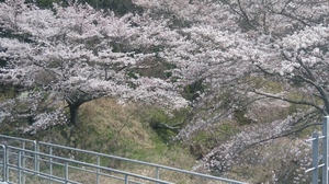 20190407_123623_HDR.jpg