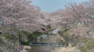 20190407_123648_HDR.jpg