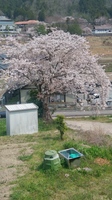 20190407_125630_HDR.jpg