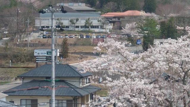 20190407_125656_HDR.jpg