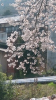 20190407_125923_HDR.jpg
