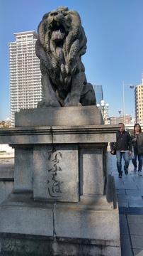 20161105_132320_HDR.jpg