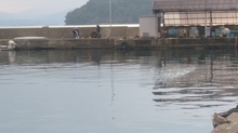 20190210_150657_HDR.jpg