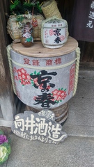 20190210_153337_HDR.jpg