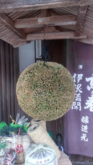 20190210_153341_HDR.jpg