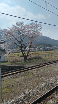 20190406_125152_HDR.jpg