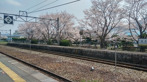 20190406_125334_HDR.jpg