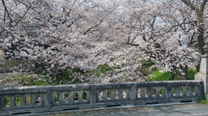 20190406_125711_HDR.jpg