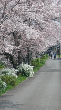 20190406_125757_HDR.jpg