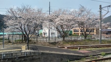 20190406_131619_HDR.jpg