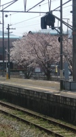 20190406_131814_HDR.jpg