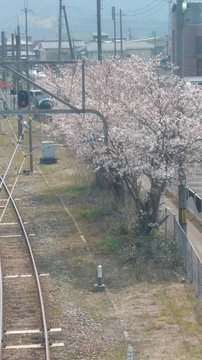 20190406_131909_HDR.jpg