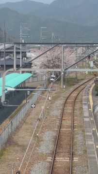 20190406_131926_HDR.jpg