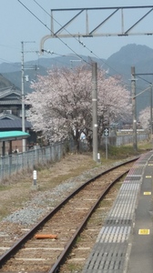 20190406_132206_HDR.jpg
