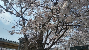 20190406_134138_HDR.jpg