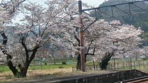 20190406_134159_HDR.jpg