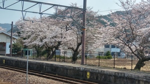 20190406_134225_HDR.jpg