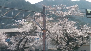 20190406_134419_HDR.jpg