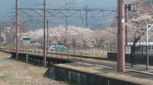 20190406_134426_HDR.jpg