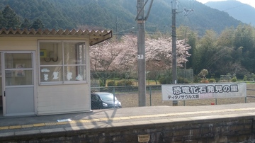 20190406_142026_HDR.jpg