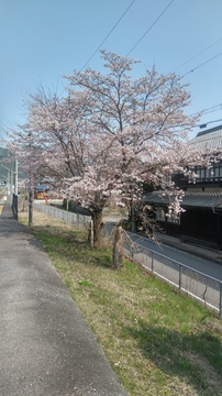 20190406_142215_HDR.jpg