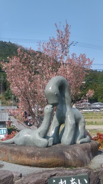 20190406_142600_HDR.jpg