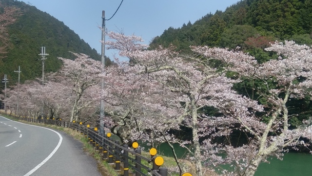 20190406_143220_HDR.jpg