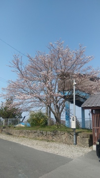 20190406_144946_HDR.jpg