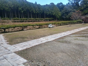 20191112_122000_HDR.jpg