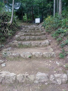 20191112_123022_HDR.jpg