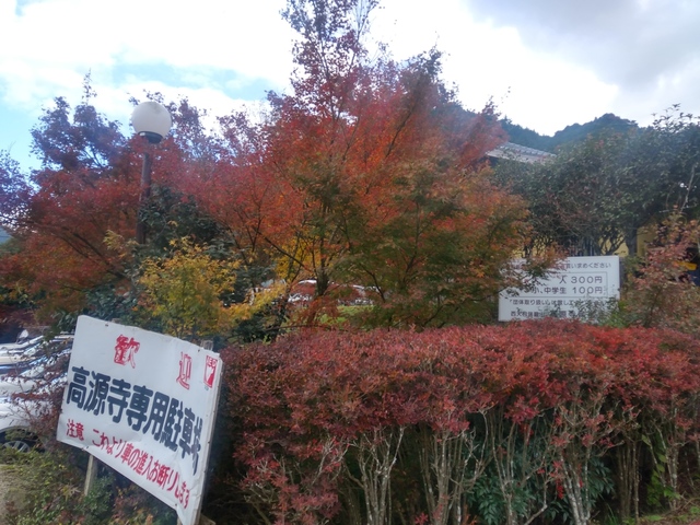 20191112_131626_HDR.jpg
