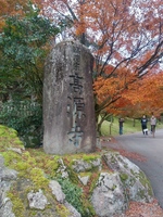 20191112_131850_HDR.jpg