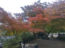 20191112_131910_HDR.jpg