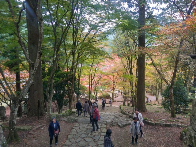 20191112_132653_HDR.jpg
