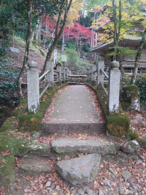 20191112_135138_HDR.jpg