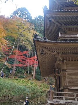 20191112_135306_HDR.jpg