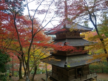 20191112_135544_HDR.jpg