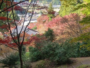 20191112_135820_HDR.jpg
