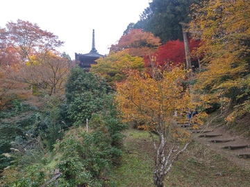 20191112_140024_HDR.jpg