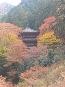 20191112_140416_HDR.jpg
