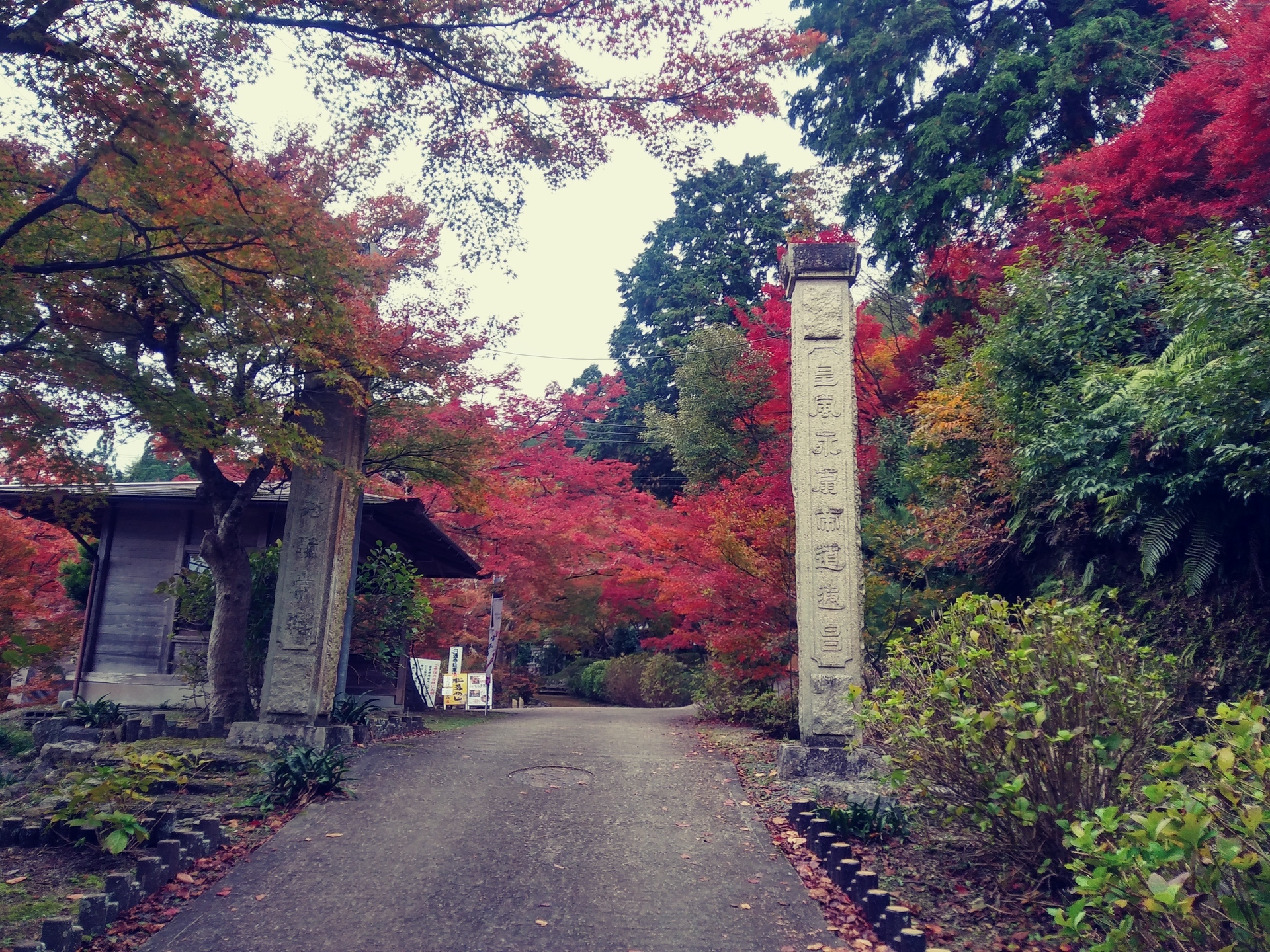 オッサのブラリ一人 丹波紅葉三山 丹波もみじめぐり 永谷山円通寺 笑遊亭丹昌の訳ワカメ オッサンのオモチャ箱