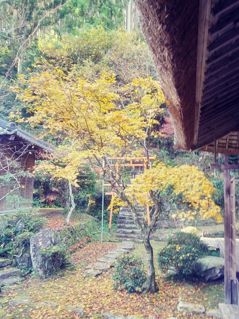 20191123_114930_HDR_Film1.jpg