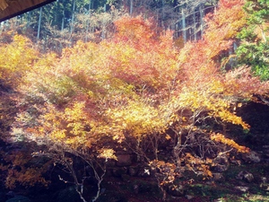20191123_115200_HDR_Film1.jpg