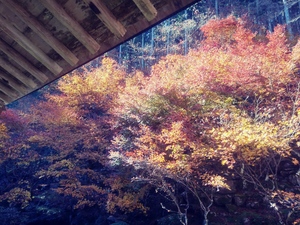 20191123_115207_HDR_Film1.jpg
