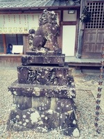 20191124_131719_HDR_Film1.jpg