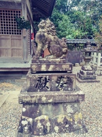 20191124_131728_HDR_Film1.jpg