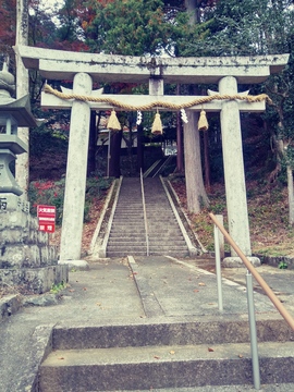 20191124_135231_HDR_Film1.jpg