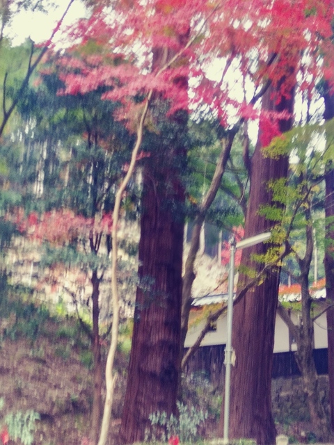 20191124_135308_HDR_Film1.jpg