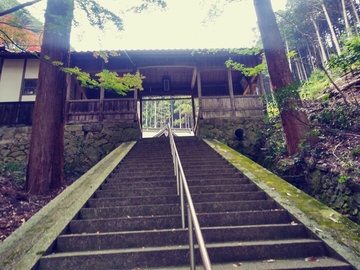 20191124_135407_HDR_Film1.jpg